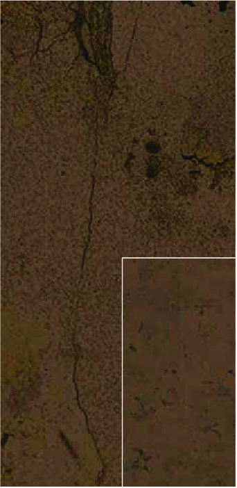 Levi 0576 Material-100